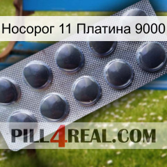 Носорог 11 Платина 9000 30